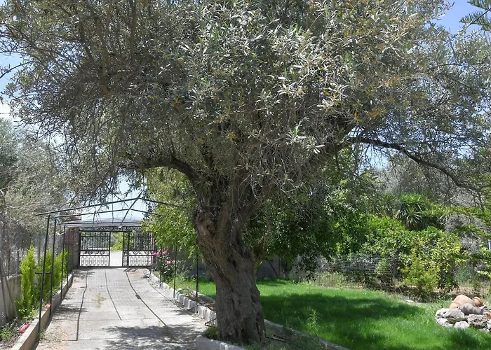 The Olive Garden House