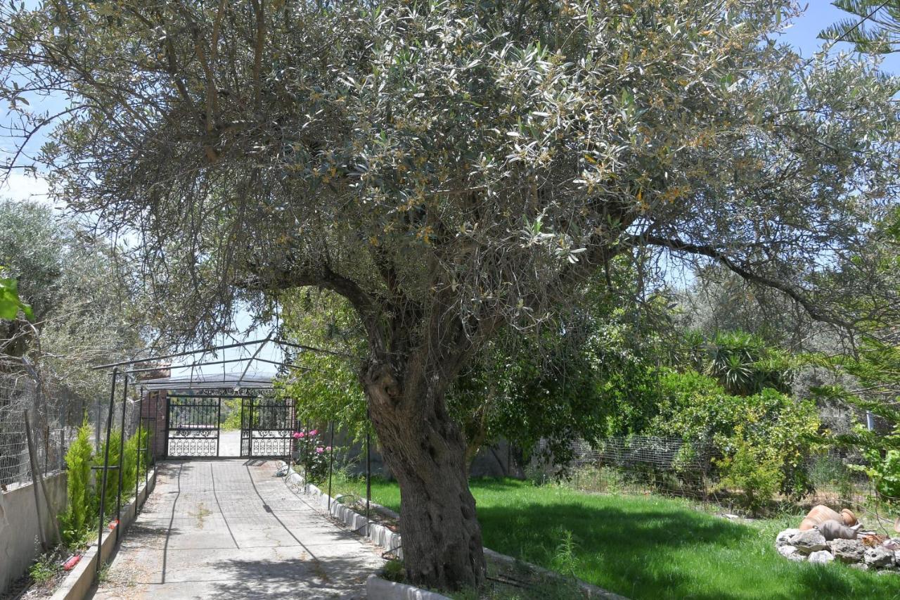 Holiday home The Olive Garden House Haraki